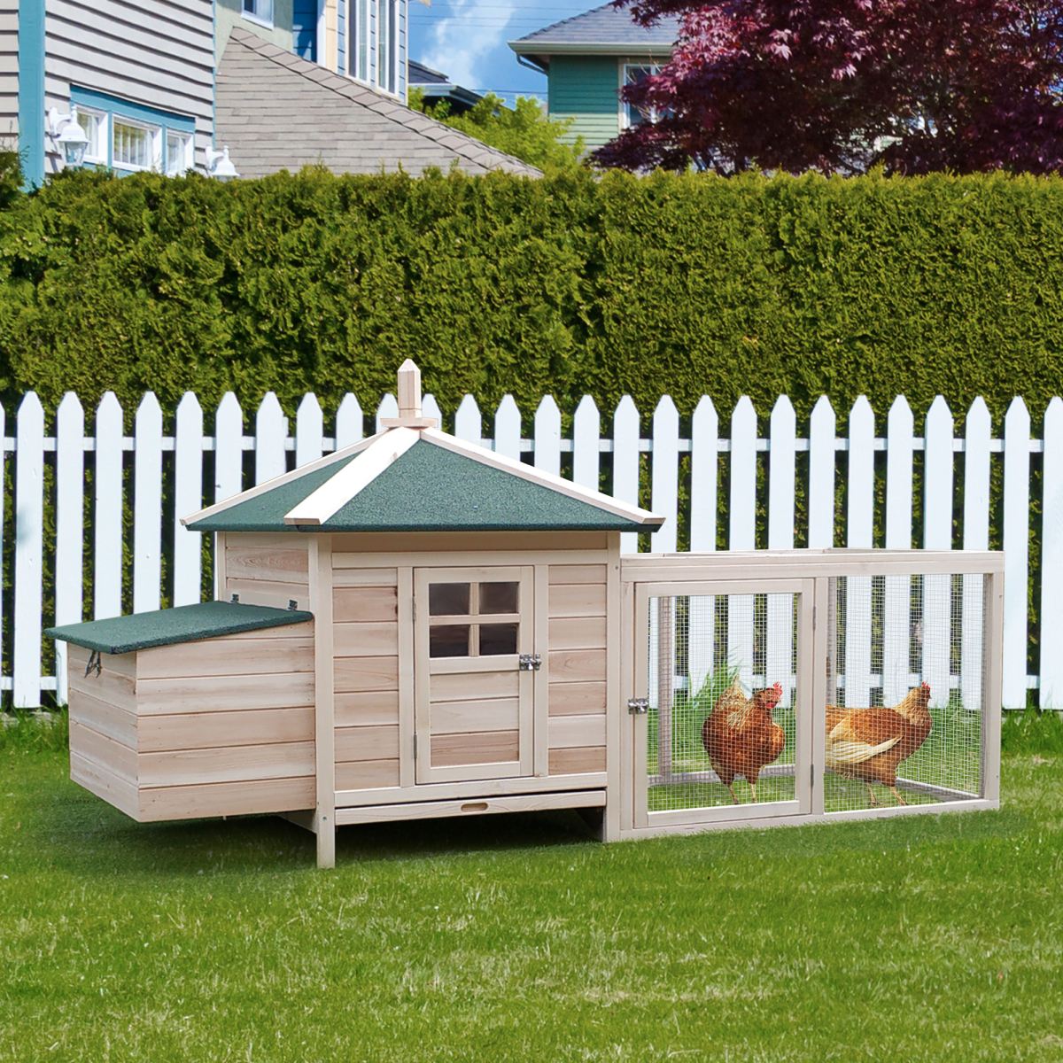 Small Chicken Coop with Cage and Nesting Box