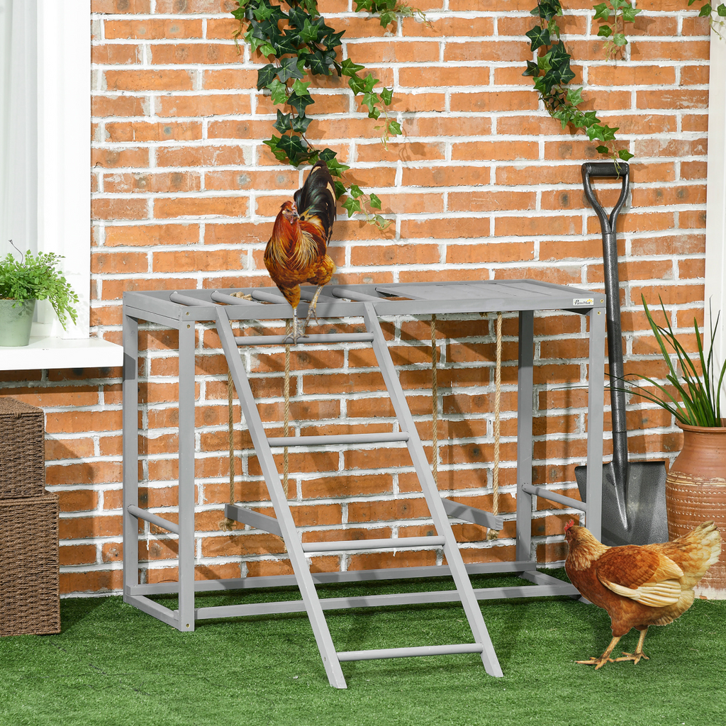 Chicken Activity Play Centre with Swing Set