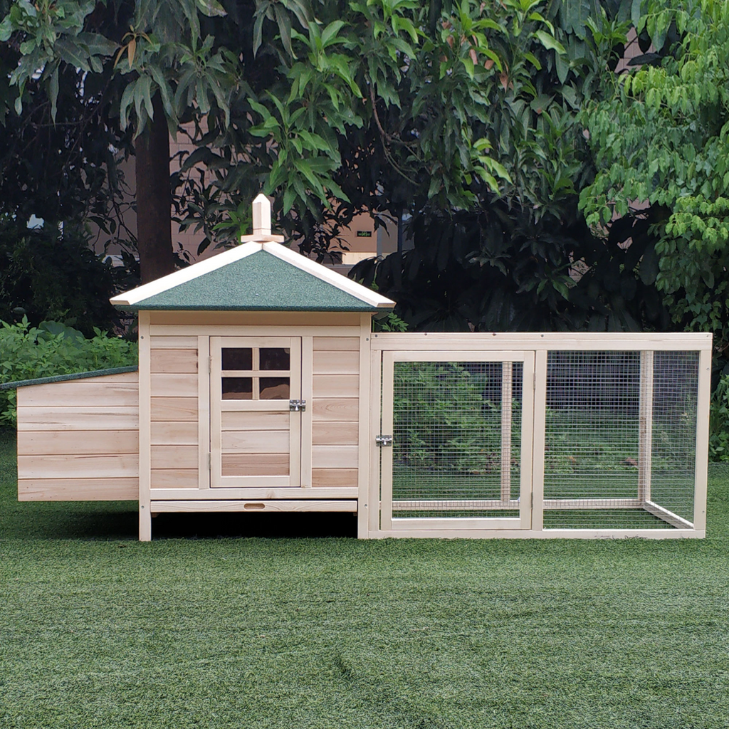 Small Chicken Coop with Cage and Nesting Box