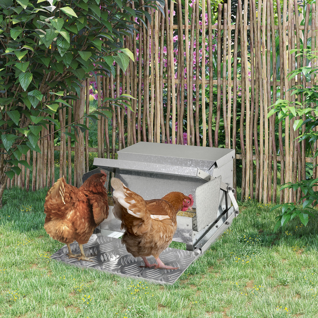 Galvanised Automatic Poultry Feeder demo