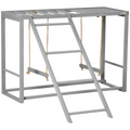 Chicken Activity Play Centre with Swing Set